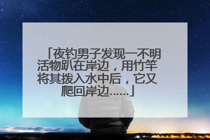 夜钓男子发现一不明活物趴在岸边，用竹竿将其拨入水中后，它又爬回岸边……